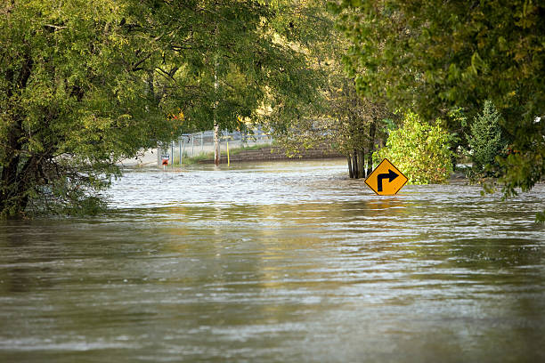 Flood Insurance Companies